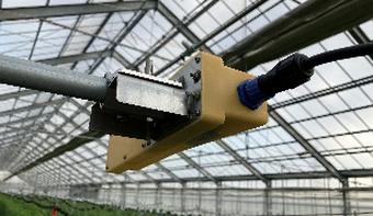 にしてつ農園のトマト