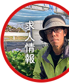 求人情報