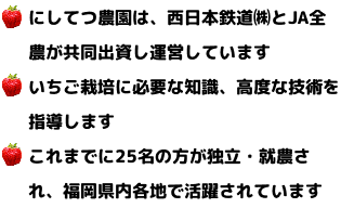 にしてつ農園は、西日本鉄道(株)とJA全農が共同出資し運営しています。いちご栽培に必要な知識、高度な技術を指導します。これまでに25名の方が独立・就農され、福岡県内各地で活躍されています